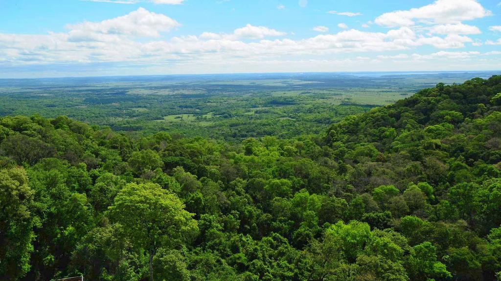 Posada Del Chaman Iguazu Puerto Iguazu Ngoại thất bức ảnh