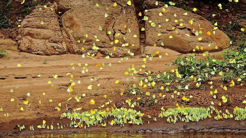 Posada Del Chaman Iguazu Puerto Iguazu Ngoại thất bức ảnh